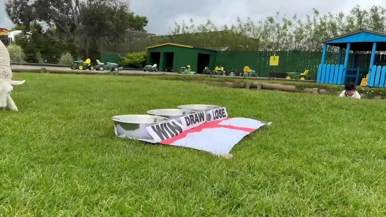 Shaun the Sheep predicts outcome of England's second Euro game