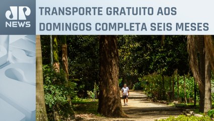 ‘Domingão Sem Tarifa’ aumenta visitação nos parques de SP