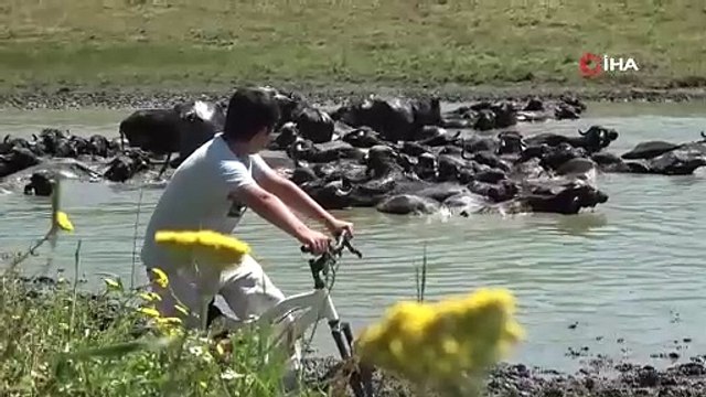 Sıcaktan bunaldılar soluğu orada aldılar! Burası Afrika değil Türkiye