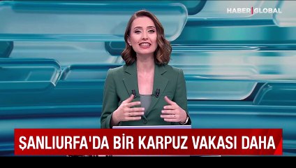 Şanlıurfa'da bir karpuz vakası daha! "Şehri terk ederim" dediği karpuz beyaz çıktı