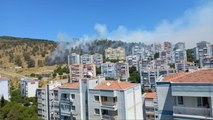 İzmir Aliağa'da orman yangını