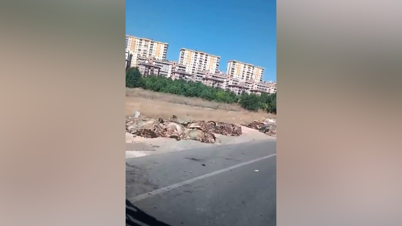 Mide bulandıran manzara