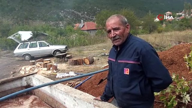 Antalya'da hasat sonrası yapımı başladı, tam bir vücut koruyucu: Kilosu 200 TL!