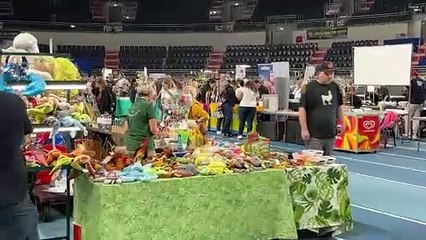 Tak było na wystawie egzotycznych pająków i bezkręgowców w Arena Toruń