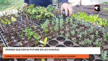 Jóvenes que ven su futuro en las chacras