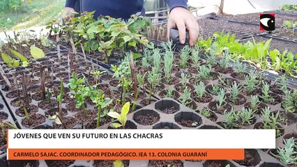 Jóvenes que ven su futuro en las chacras