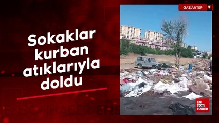 Gaziantep'te kurbanları kestiler, artıklarını sokaklara bırakıp gittiler