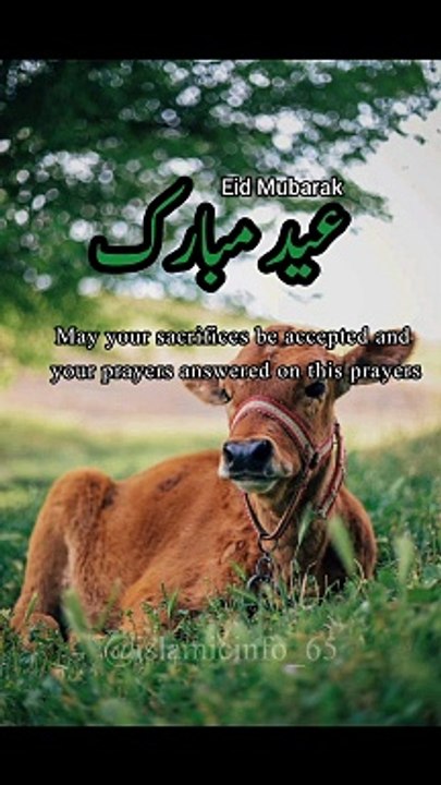 Eid Mubarak❤