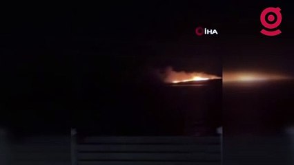 Gece boyunca yanan Çiçek Adası küle döndü: Çok sayıda hayvan yanarak can verdi