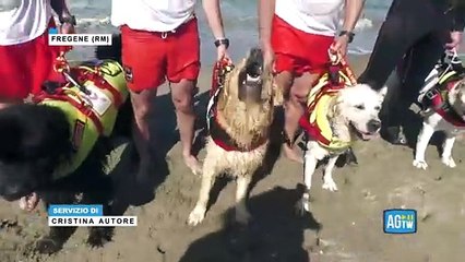 A Fregene cani salvataggio e moto d'acqua per l'esercitazione «Mari e laghi sicuri»