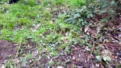 PS Pascal Erlangen, Bruck, Pommern Str.              Neumühle, Unterwasser