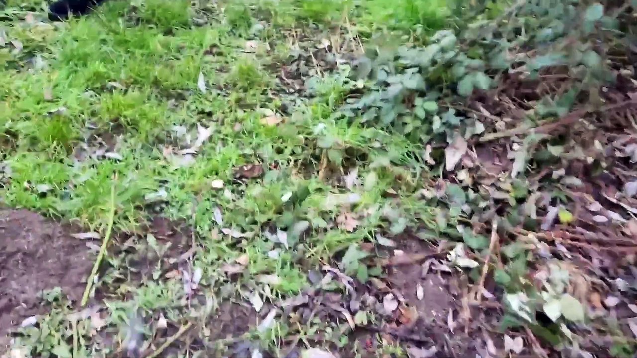 PS Pascal Erlangen, Bruck, Pommern Str.              Neumühle, Unterwasser