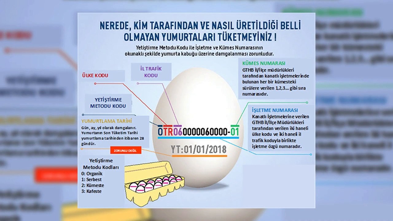 Yumurtaların Üzerindeki Kodlar Ne Anlama Geliyor?