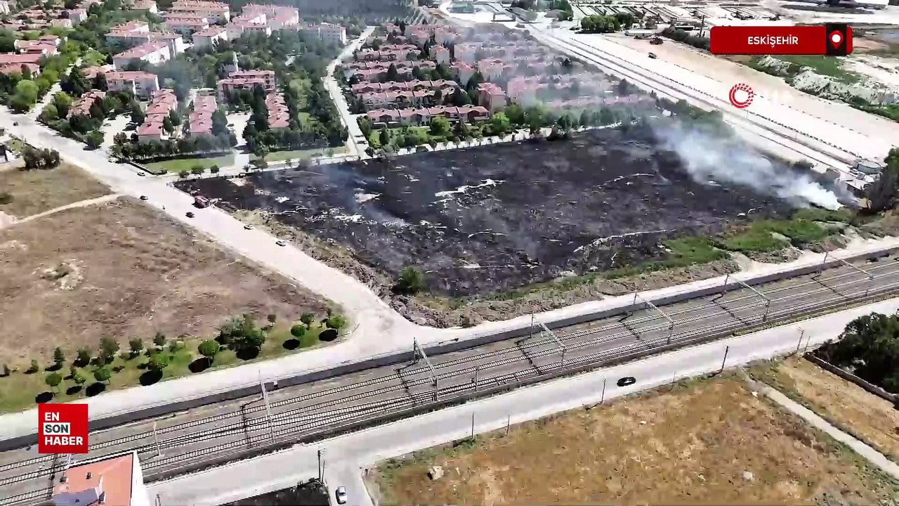 Eskişehir'de sokak hayvanları besleme alanında yangın