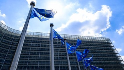 La UE Aprueba Una Ley Ecológica Que Promete Un 20% De Restauración Para 2030