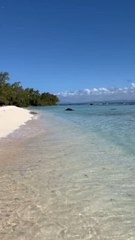 LES PLUS SAUVAGES coins de l’île Maurice : Ile plate et Ilot Gabriel