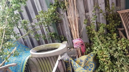 2024 Veiligheid in Huis met Leptomania