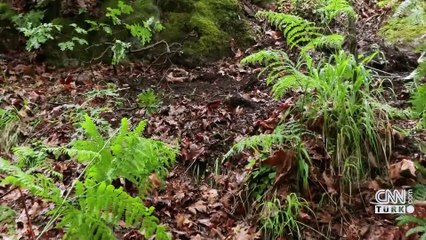 Ekiplerin "Korhan Berzeg" mesaisi sürüyor