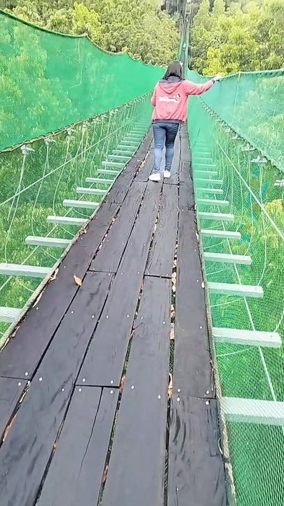 hanging bridge