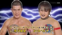 Masaaki Mochizuki vs. B×B Hulk - Dragon Gate Open The Dream Gate Title: Kobe Pro Wrestling Festival 2011.7.11