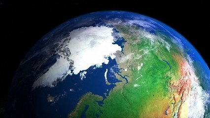 Cadeia alimentar do Ártico em crise