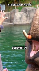 Cuidadora de Idosos Não Receberá Adicional de Insalubridade, Decide TST