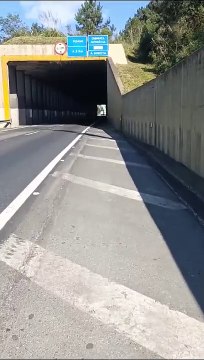 Morador de Joinville pedala 700 quilômetros para visitar irmãos em Umuarama - percurso