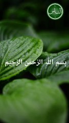 Surah naas