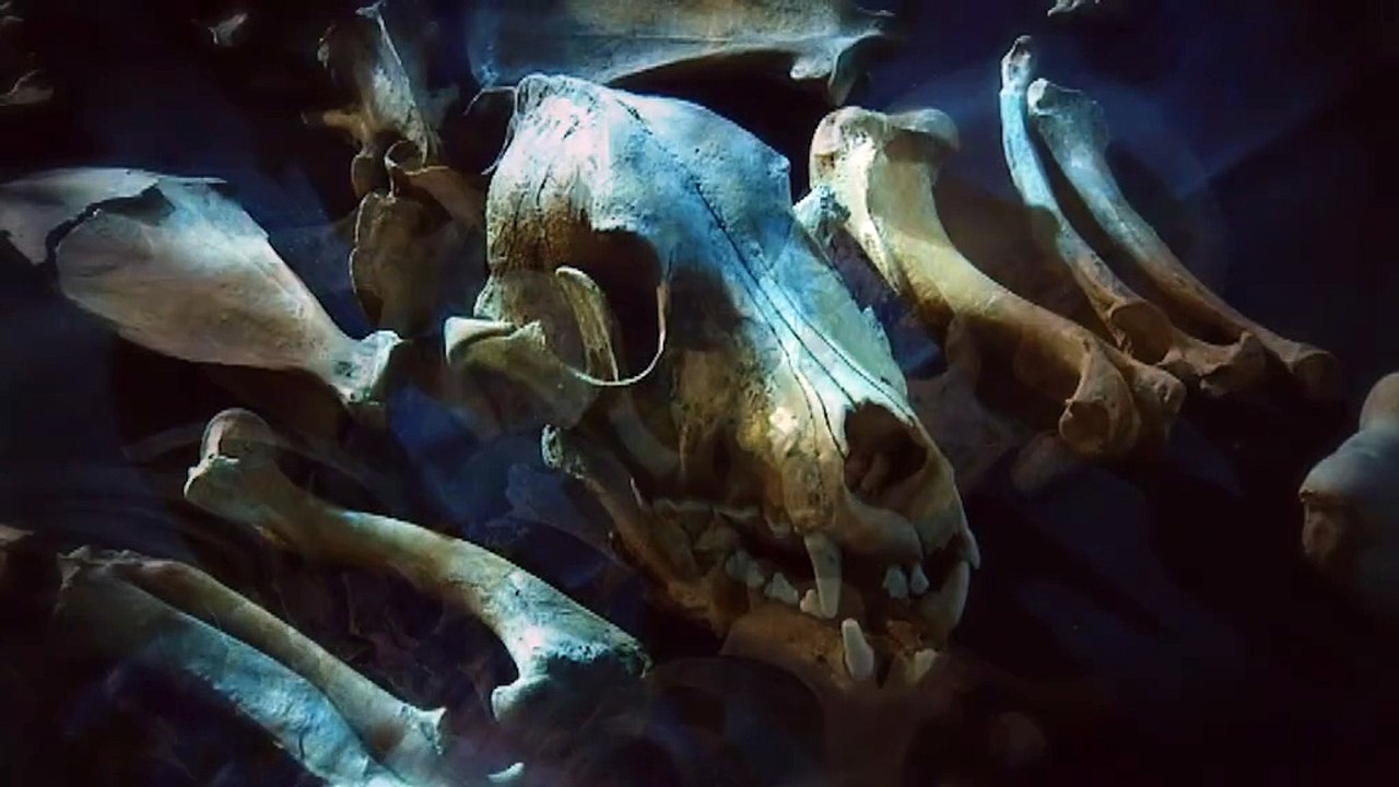 S01E10 ~ Ancient Mariner