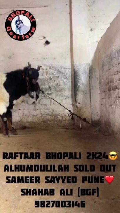 VID-20240611-WA0006