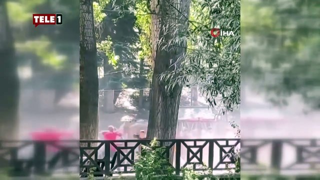 Piknik alanı savaş alanına döndü! Çok sayıda yaralı var
