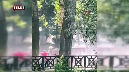Piknik alanı savaş alanına döndü! Çok sayıda yaralı var