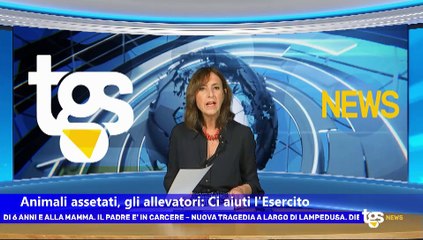 Il notiziario di Tgs, edizione del 17 giugno - ore 19.50