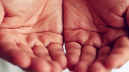 The Secret Numerical Miracles Of Allah On Palm of Hands Will Shock You