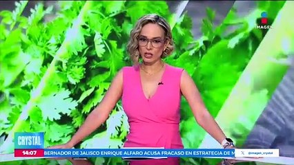 ¡Por los cielos! El cilantro sube de precio hasta un 400%
