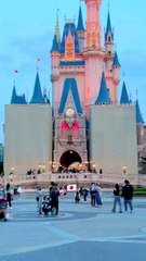 beautiful view Japanese Park