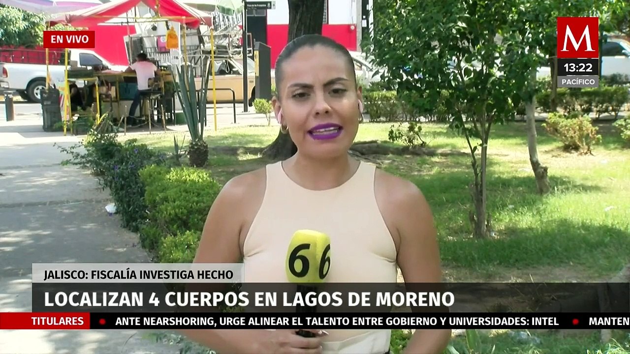 Localizan cuatro cuerpos en una brecha en Lagos de Moreno, Jalisco