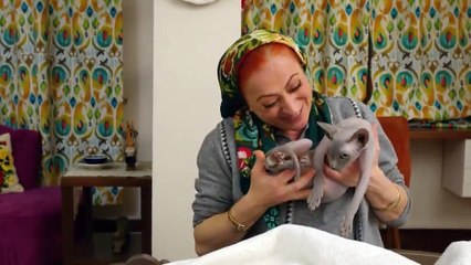 158. Estrella de Amor (Kuzey Yildizi), en español