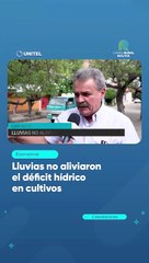 Lluvias no aliviaron el déficit hídrico en cultivos
