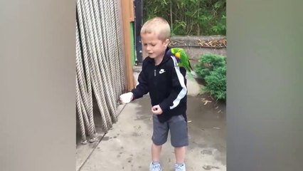 TRY NOT TO LAUGH _ Funny Babies At The Zoo  - LAUGH TRIGGER