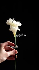 Quran Surah #Quran #quranquotes#shorts