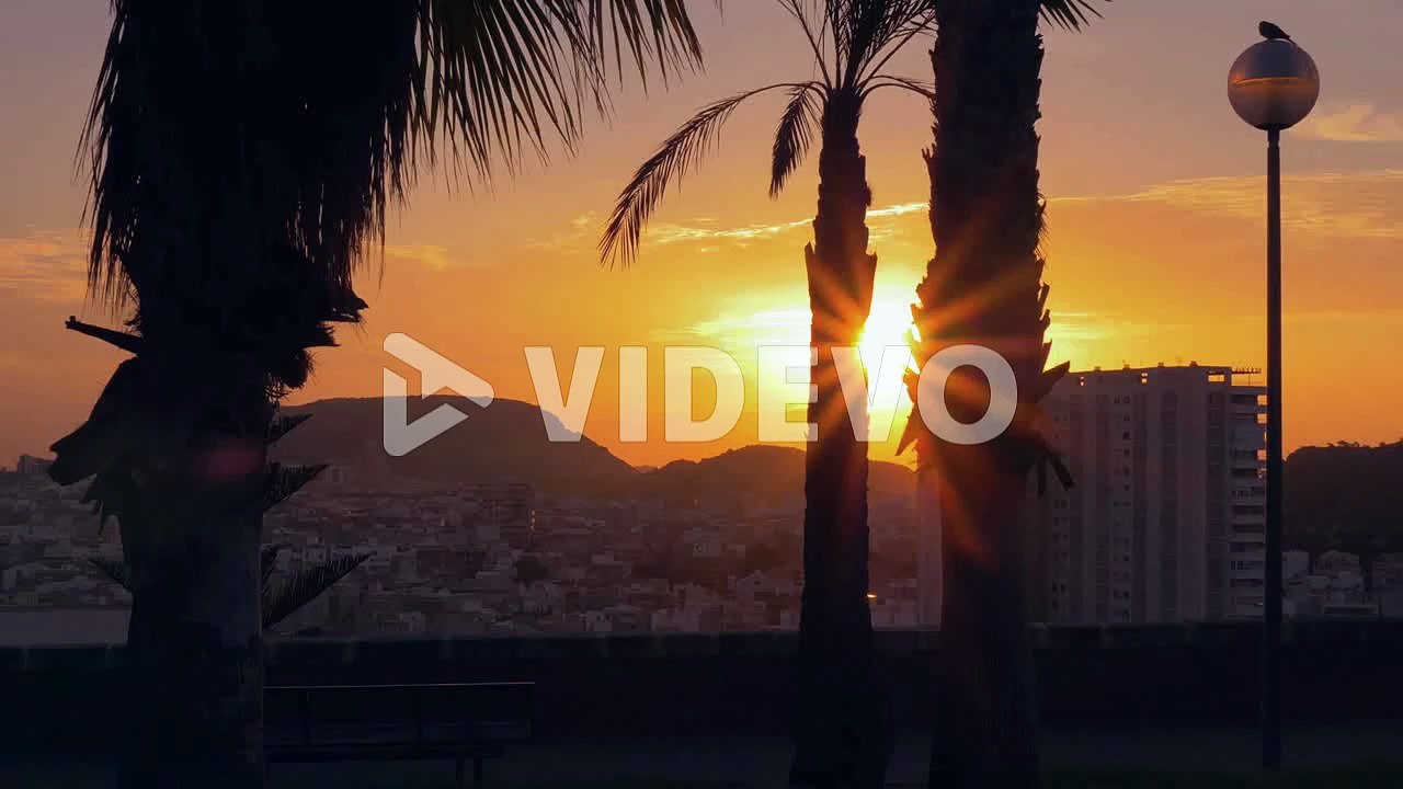 Sunrise in beautiful park with palm trees
