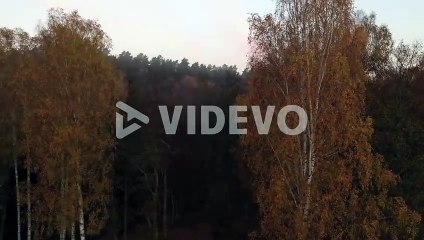 Drone aerial view of Lithuania countryside