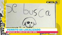 Perrito es encontrado gracias al dibujo de una niña