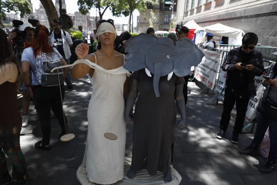 Protestan por la elefanta Ely en la Suprema Corte de Justicia de la Nación