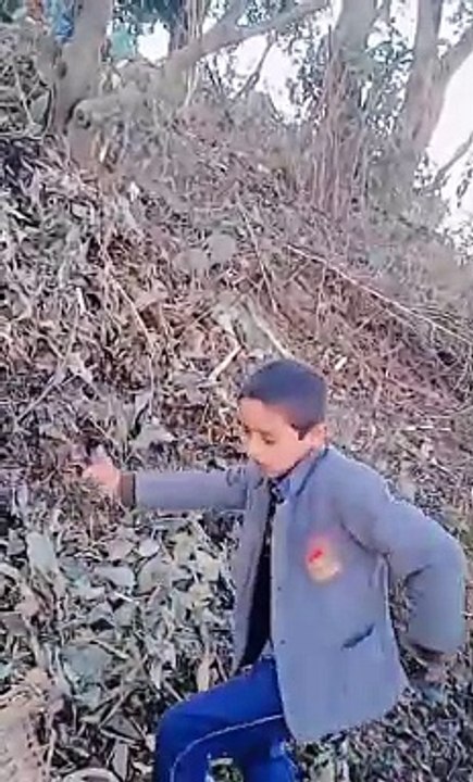Pahadi dance video