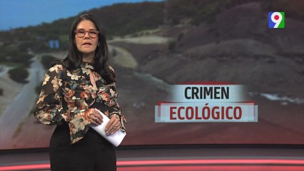 Crimen ecológico | El Informe con Alicia Ortega