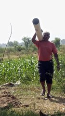 Comedy club laughing video