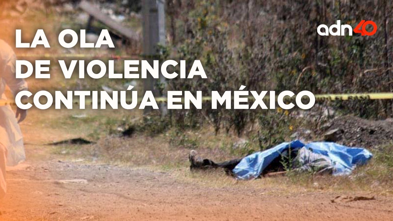 Mil 244 asesinatos en lo que va de junio, casi 28 asesinatos suceden cada día  I Todo Personal