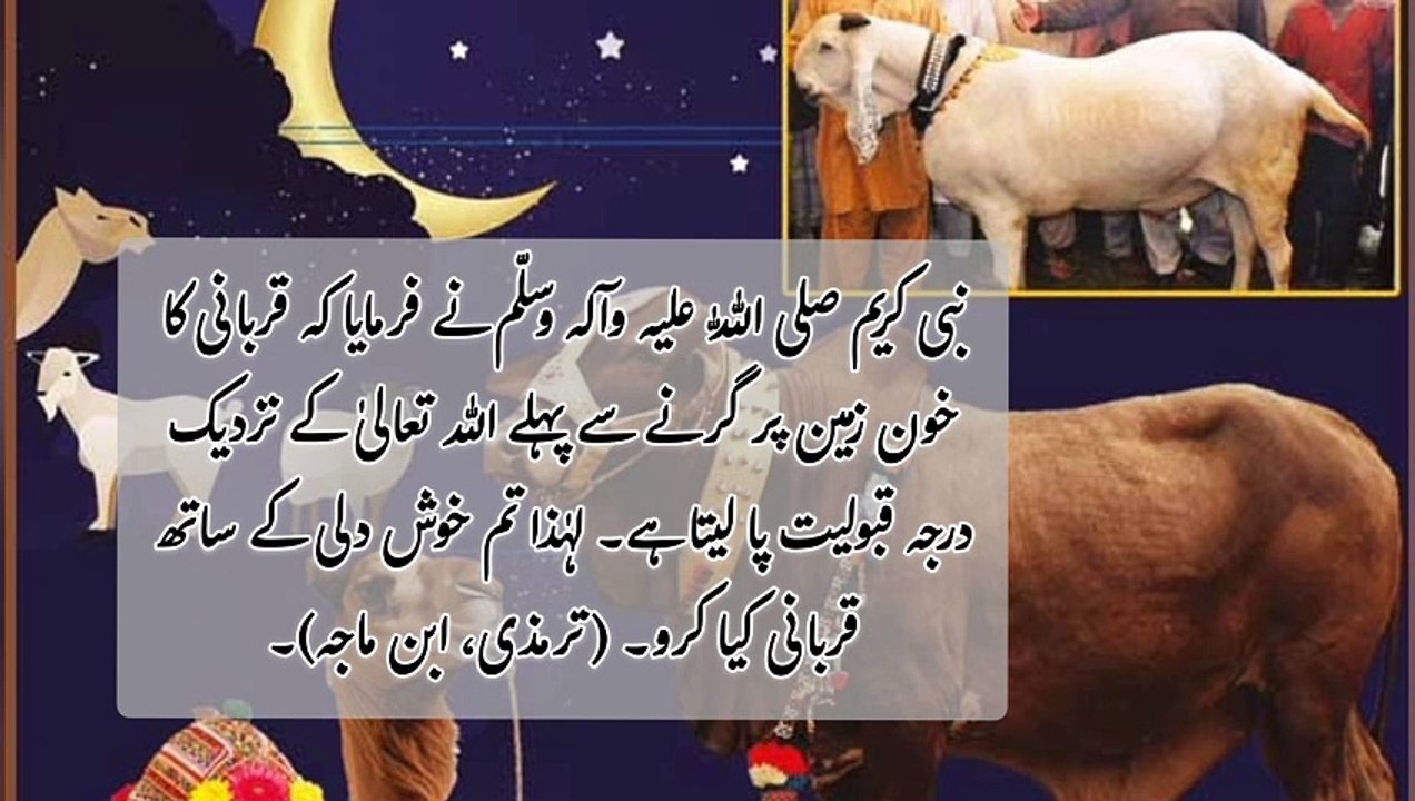 قُربانی | Qurbani ke ihkaam